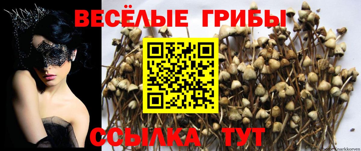 Псилоцибиновые грибы Magic Shrooms  Вход с VPN  Тверь 