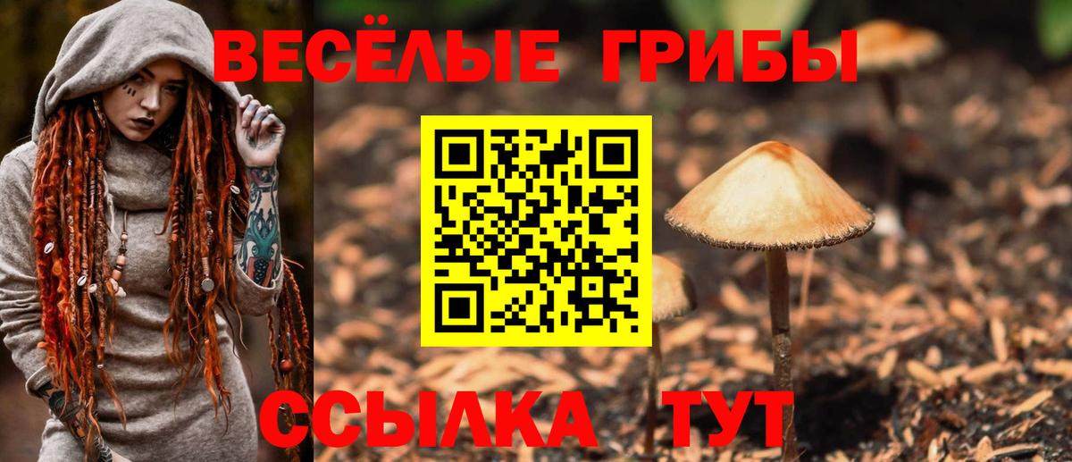 Галлюциногенные грибы Magic Shrooms Тверь