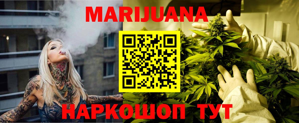 Конопля сатива Тверь